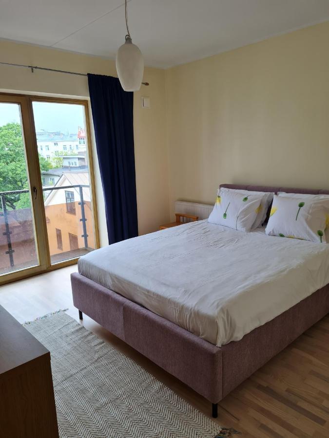 Cozy One Bedroom Apartment In City Center 塔林 外观 照片